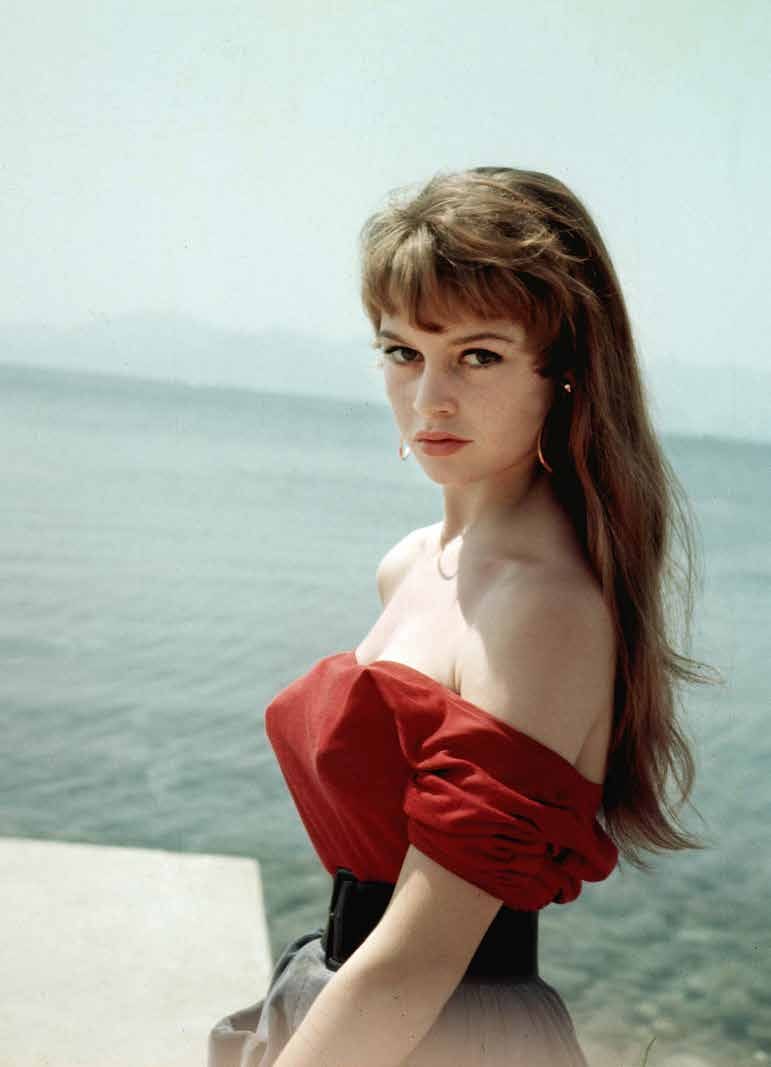 bardot neck